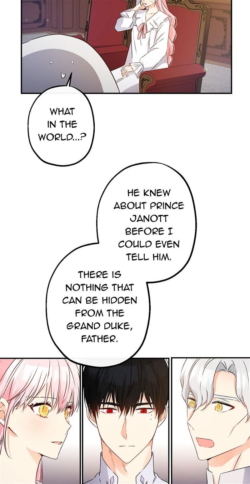 This Is an Obvious Fraudulent Marriage Chapter 63 page 24