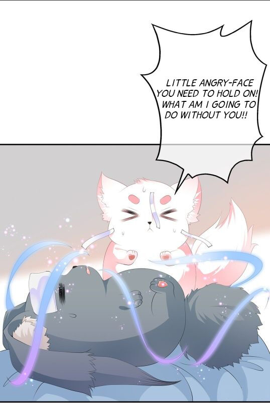 Fox Concubine, Don't Play With Fire Chapter 085.5 page 17