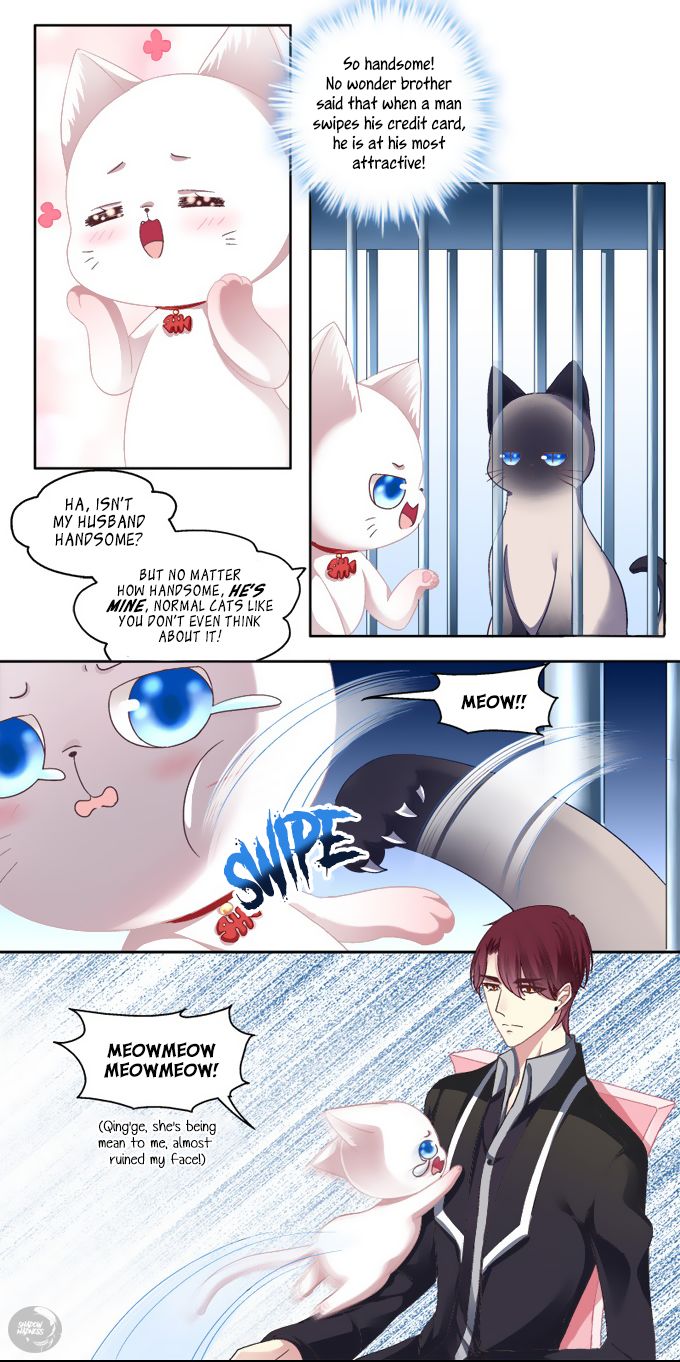 The Temptation of a Cat Demon Chapter 002 page 3