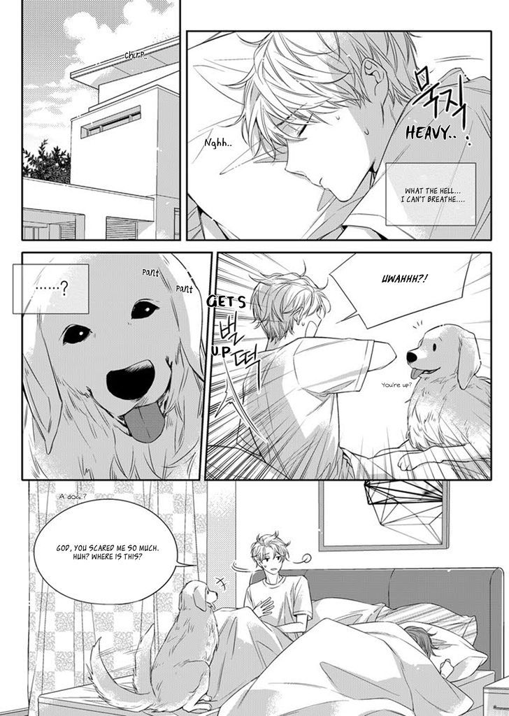Unintentional Love Story Chapter 006 page 8