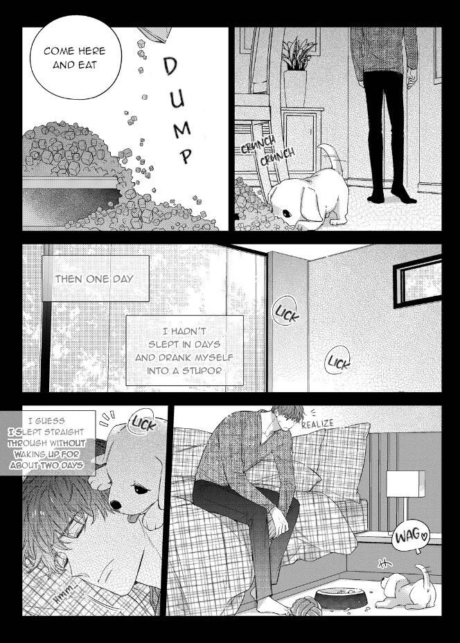 Unintentional Love Story Chapter 044 page 21