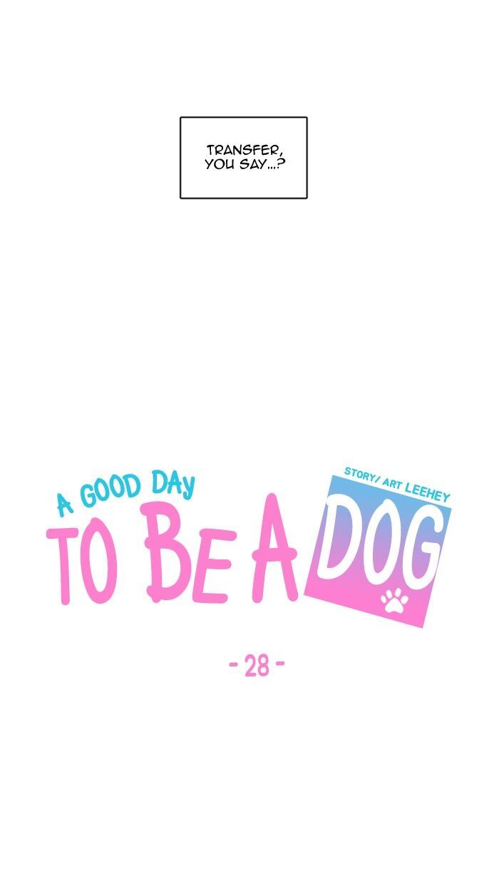 A Good Day To Be A Dog Chapter 28 page 37