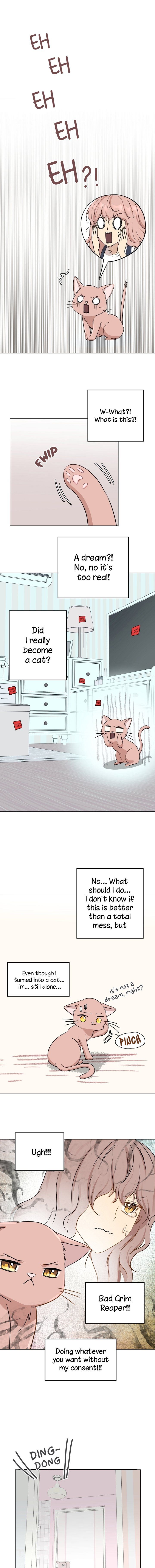Just For A Meowment Chapter 1 page 8