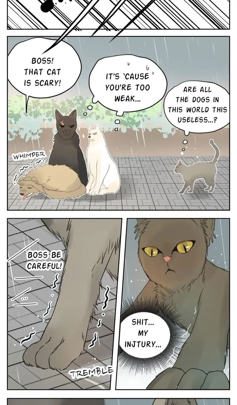 A World Ruled by Cats Chapter 25 page 11