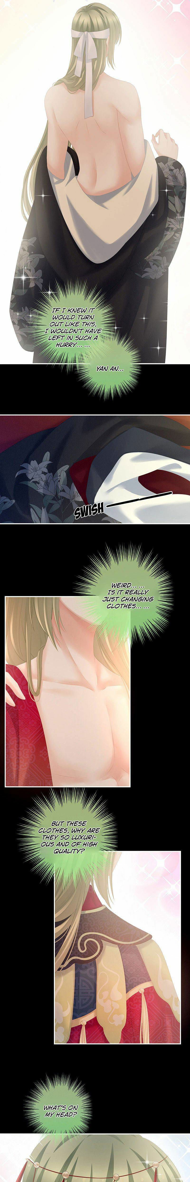 Empress's Harem Chapter 200 page 5