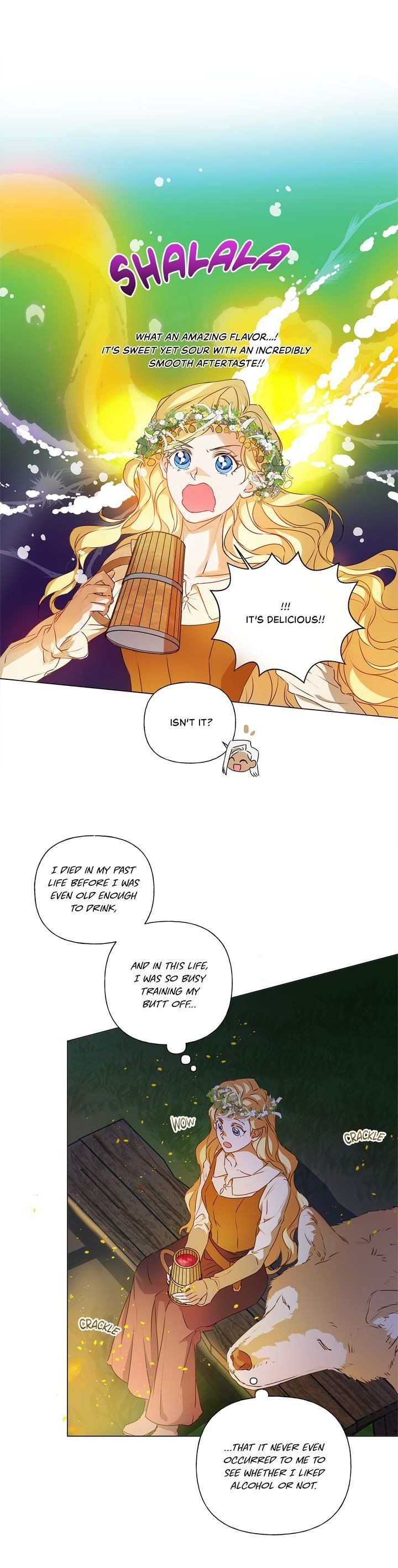 The Golden Haired Wizard Chapter 55 page 21