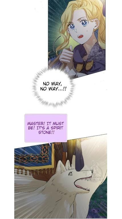 The Golden Haired Wizard Chapter 58 page 41