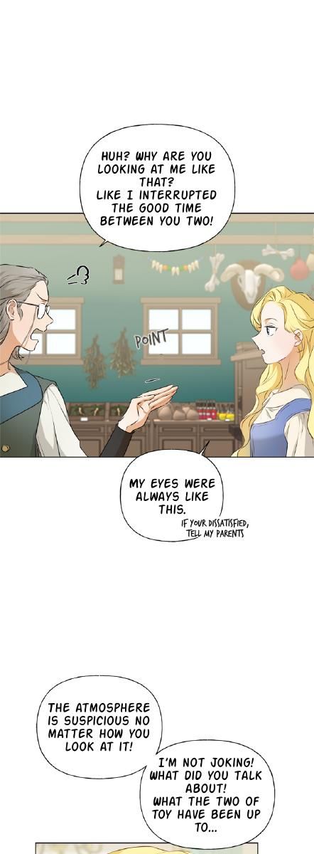 The Golden Haired Wizard Chapter 66 page 16