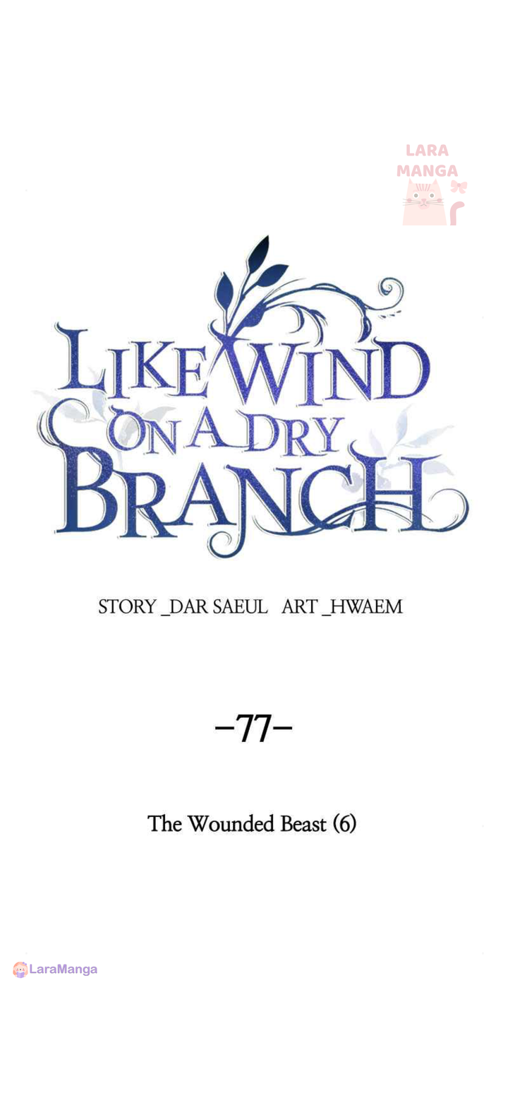 Like A Wind On A Dry Branch Chapter 77 page 64