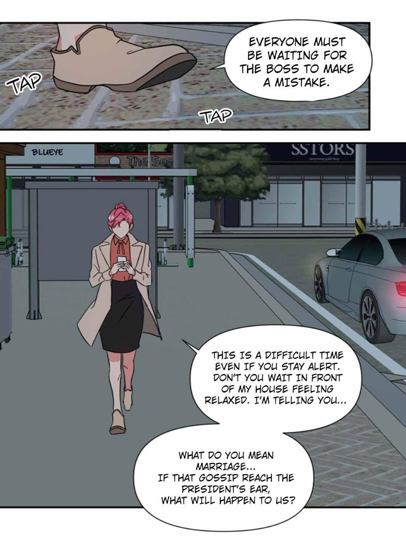 The Problem of My Love Affair Chapter 74 page 27