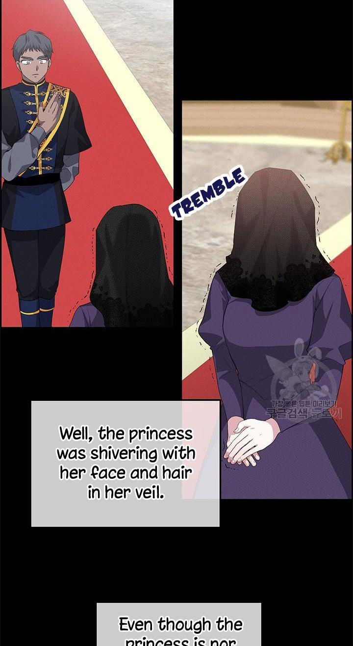 Answer Me, My Prince Chapter 25 page 47