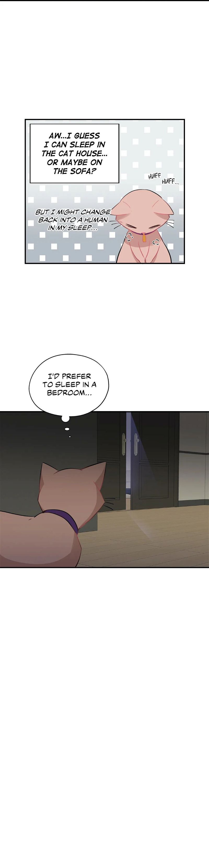 Just For A Meowment Chapter 35 page 3