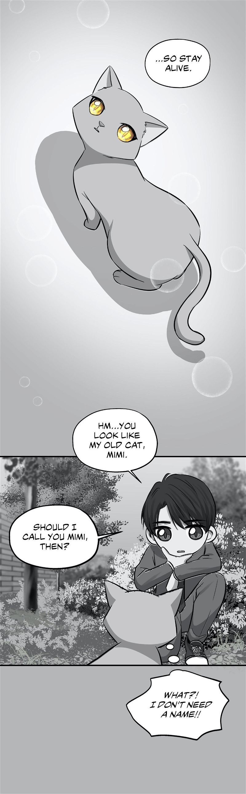 Just For A Meowment Chapter 41 page 14