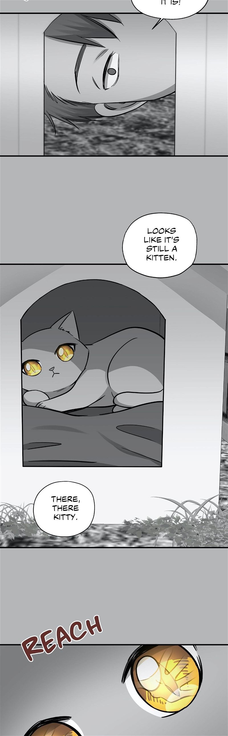 Just For A Meowment Chapter 41 page 17