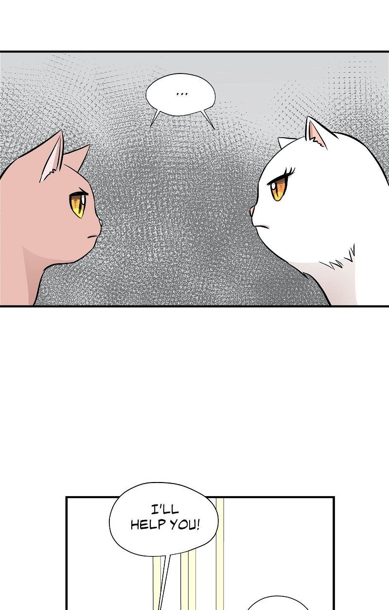Just For A Meowment Chapter 45 page 13