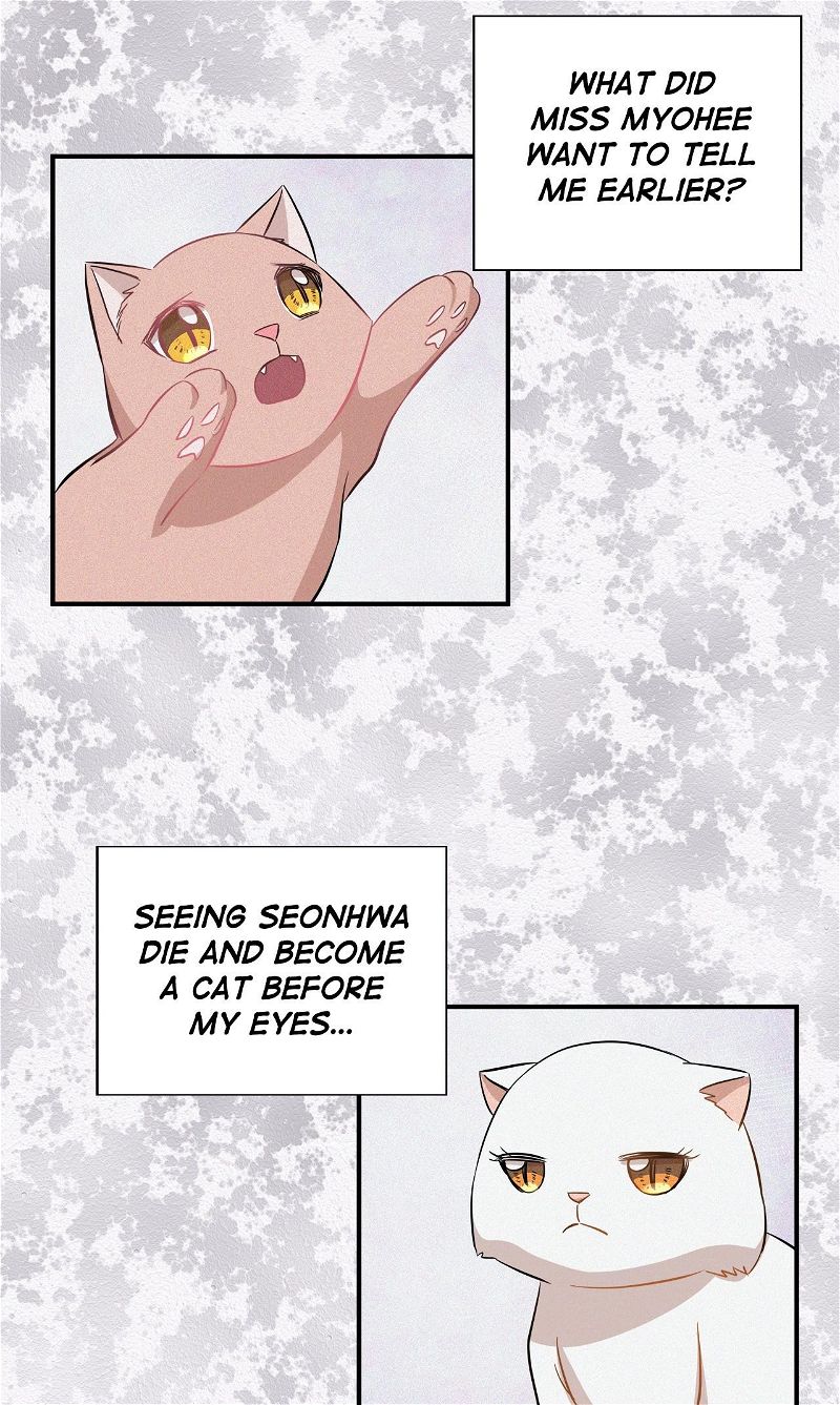 Just For A Meowment Chapter 45 page 25