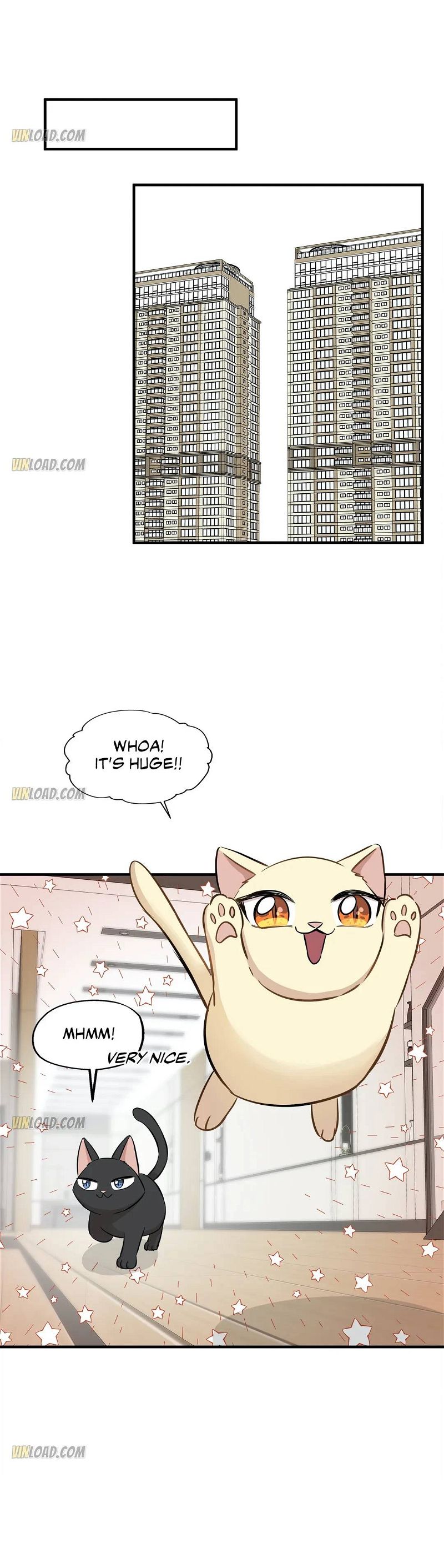Just For A Meowment Chapter 64 page 10