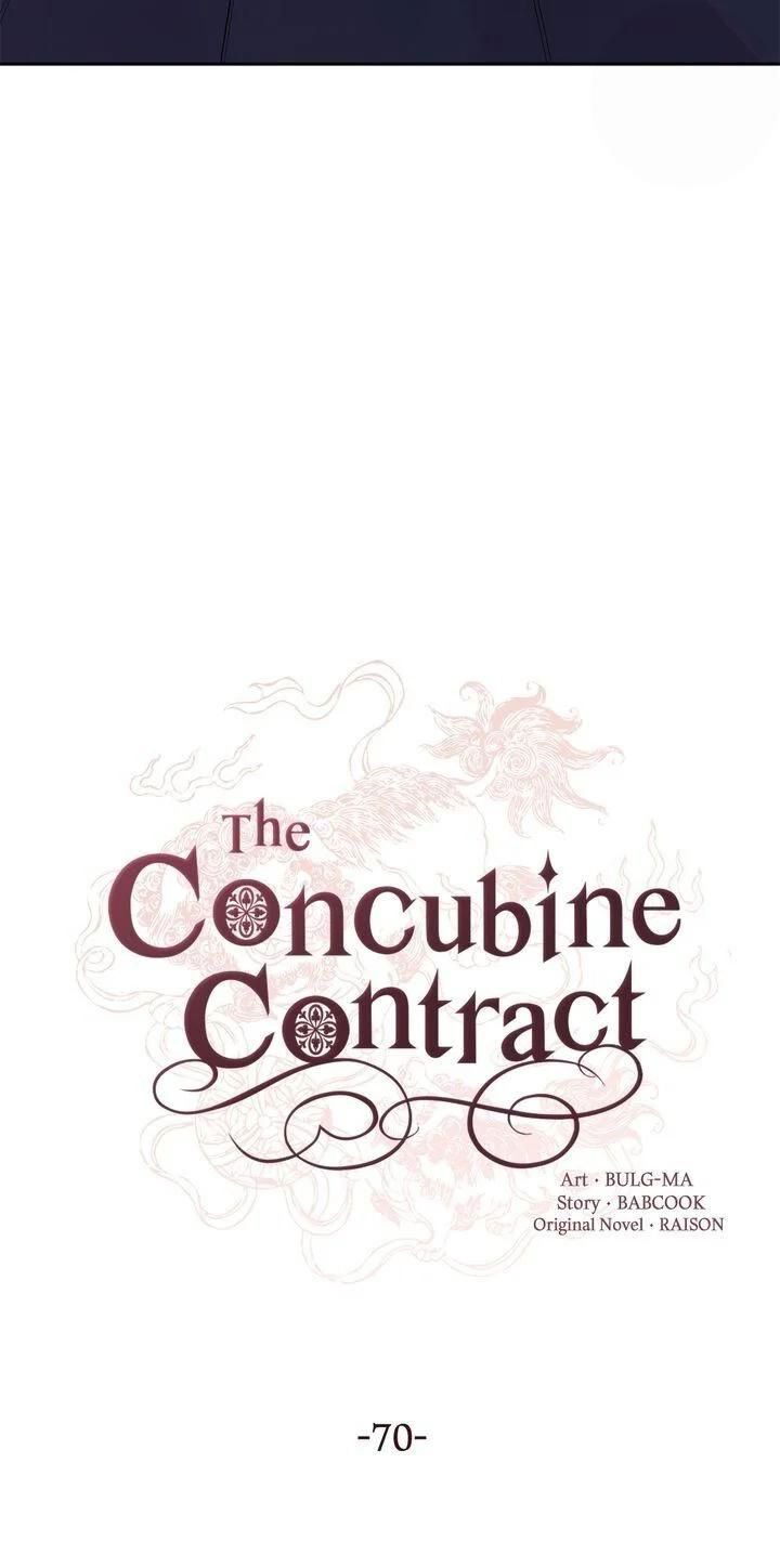 Contract Concubine Chapter 70 page 15
