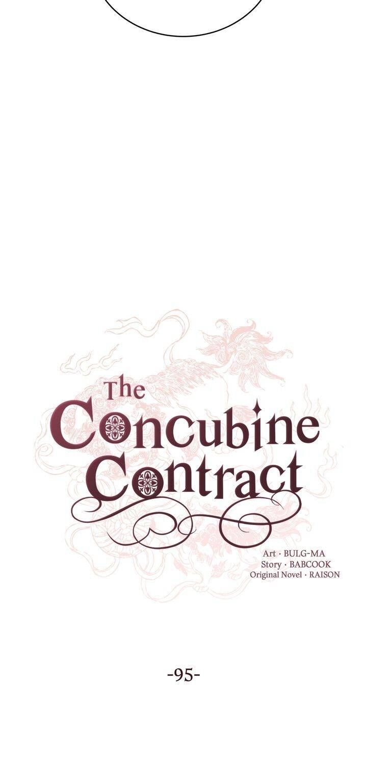 Contract Concubine Chapter 95 page 8
