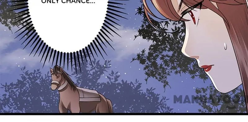 First Miss Reborn Chapter 106 page 11