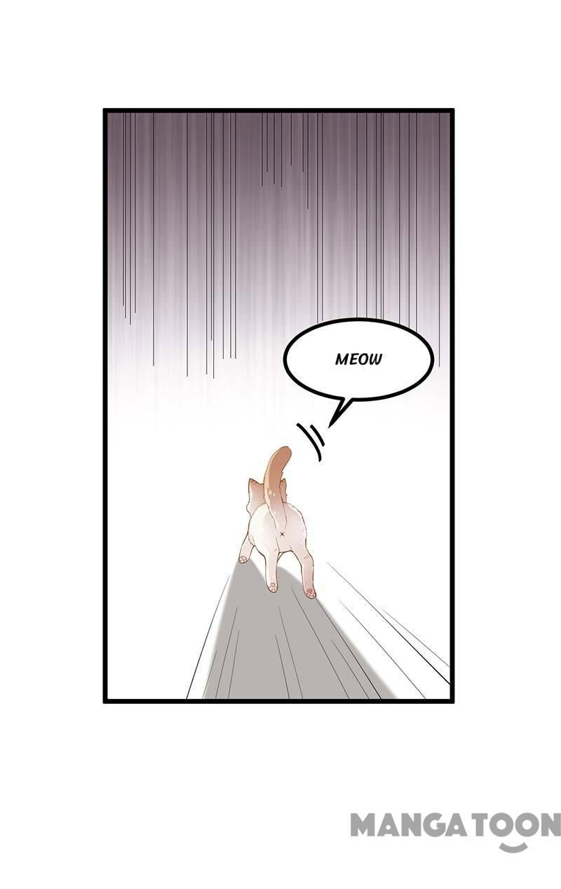 First Miss Reborn Chapter 249 page 23