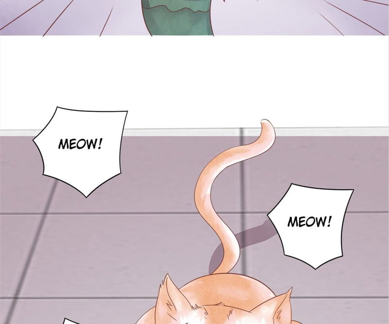 Guide to Raising Kitty Boyfriend Chapter 48 page 4