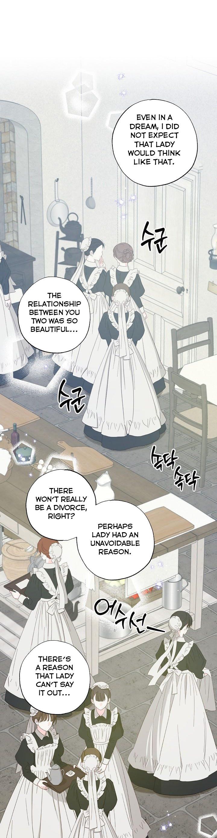 I am Afraid I have Failed to Divorce Chapter 40 page 11