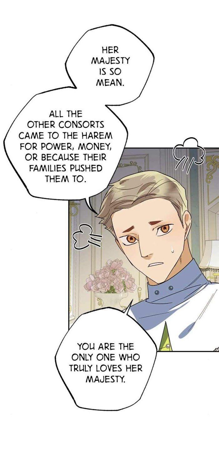 Men Of The Harem Chapter 72 page 6