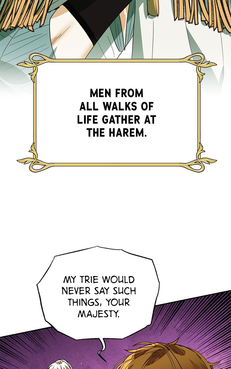 Men Of The Harem Chapter 88 page 34