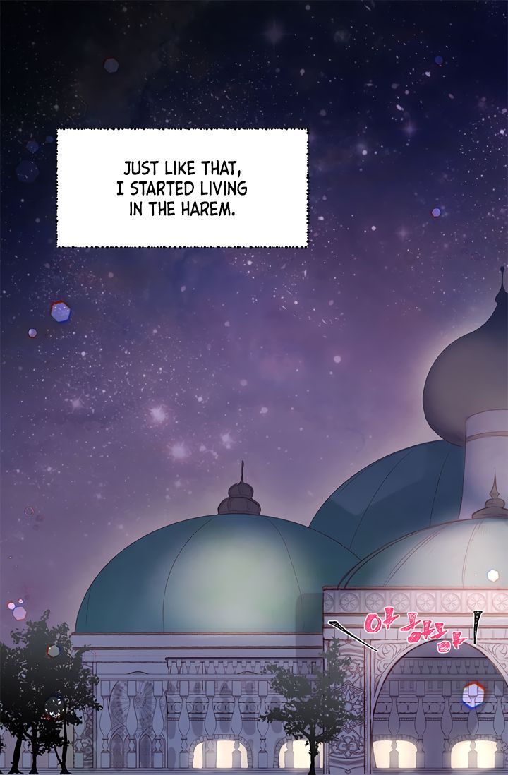 Sultan's Love Chapter 1 page 16