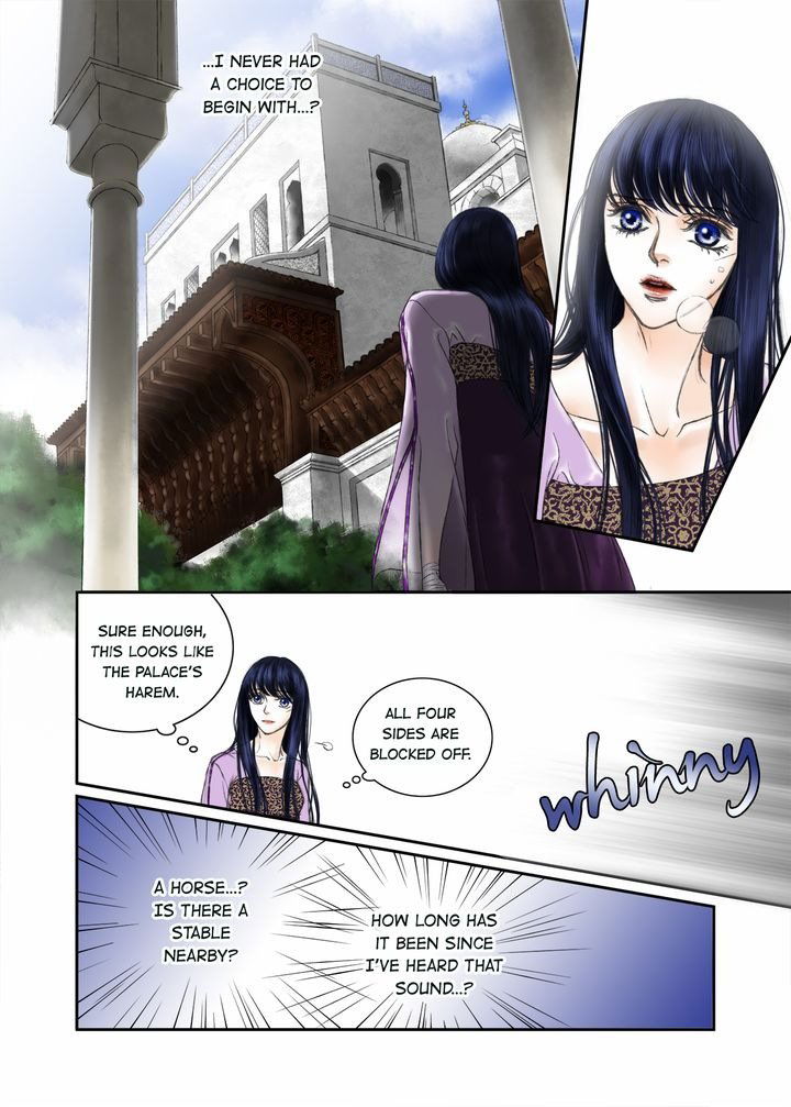 Sword Of The Falcon Chapter 9 page 3