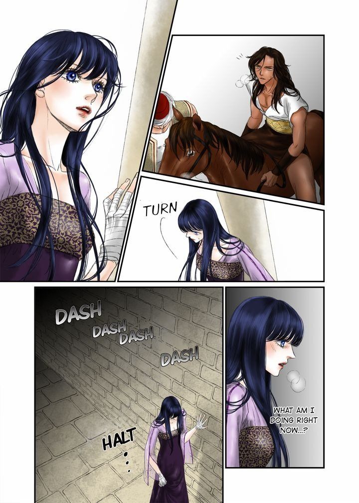 Sword Of The Falcon Chapter 9 page 5