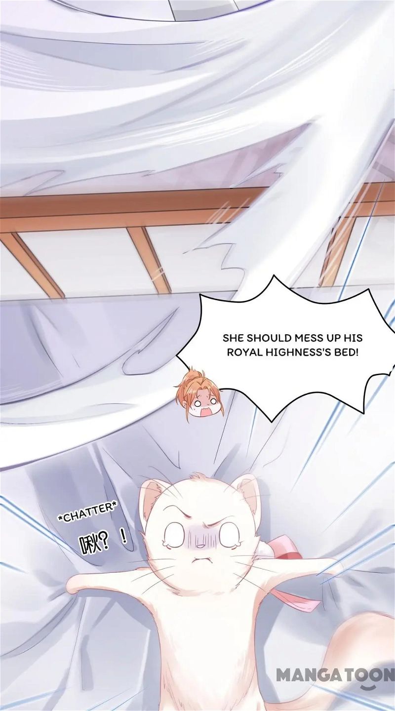 Kitten Princess Chapter 4 page 8