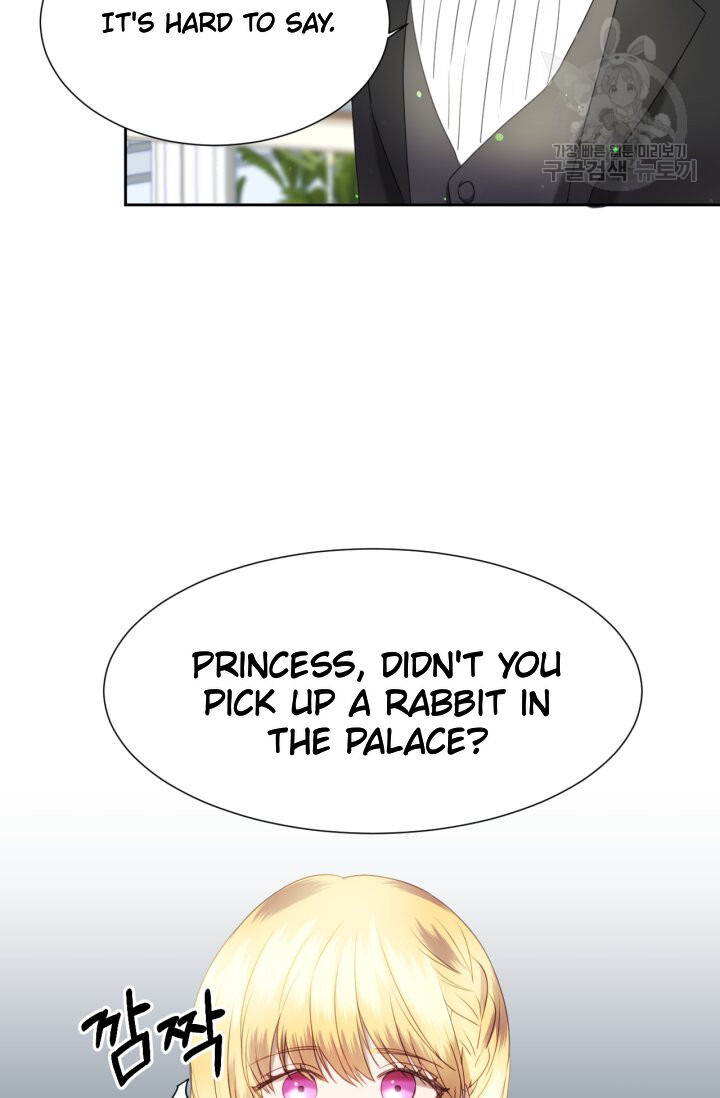 The Fake Princess' OP Bunny Chapter 13 page 47