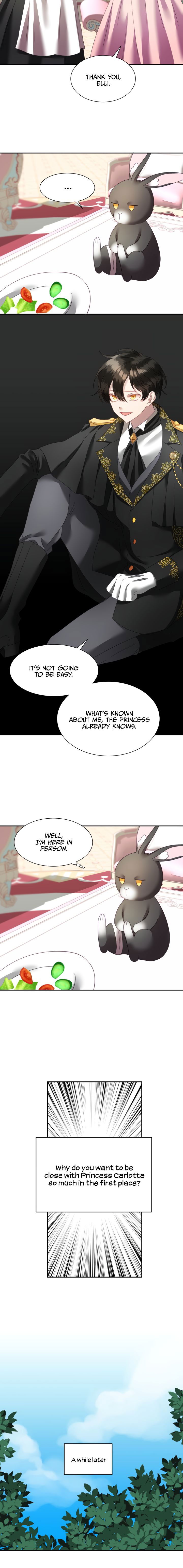 The Fake Princess' OP Bunny Chapter 4 page 8