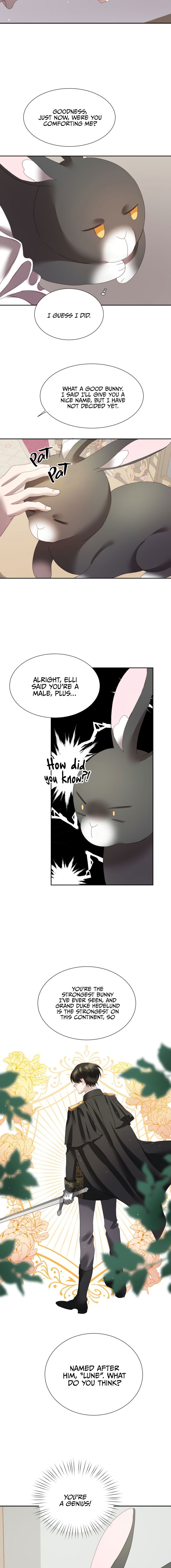 The Fake Princess' OP Bunny Chapter 4 page 12