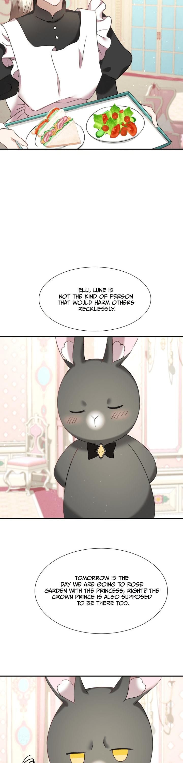 The Fake Princess' OP Bunny Chapter 43 page 14