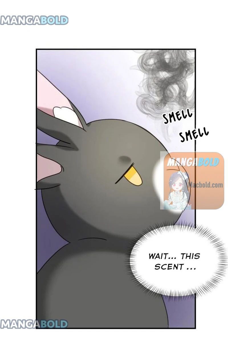 The Fake Princess' OP Bunny Chapter 47 page 52