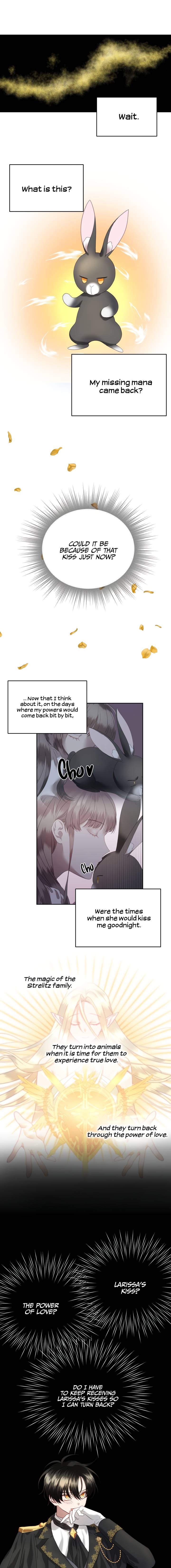 The Fake Princess' OP Bunny Chapter 9 page 6