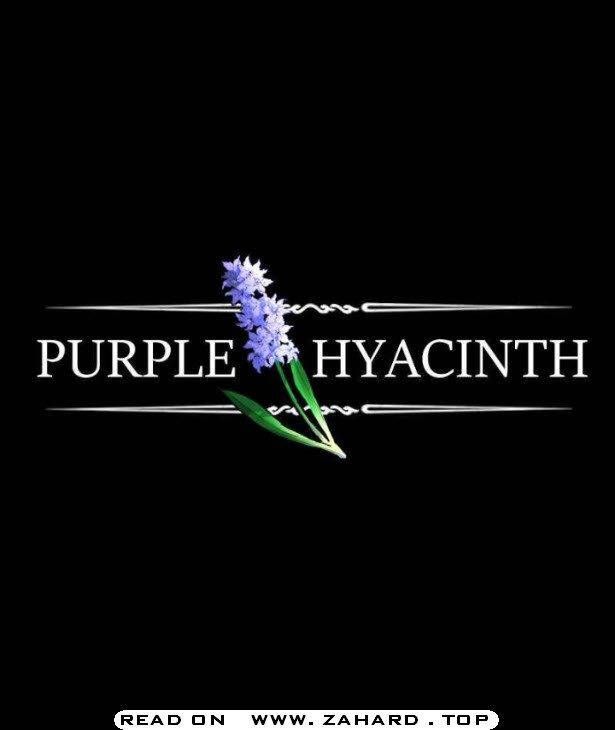 Purple Hyacinth Chapter 106 page 2
