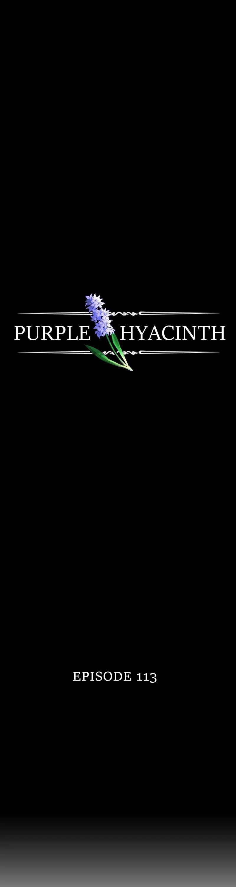 Purple Hyacinth Chapter 117 page 1