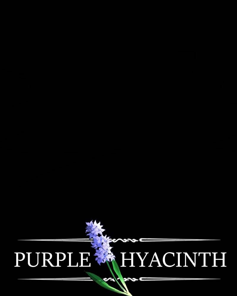 Purple Hyacinth Chapter 128 page 51