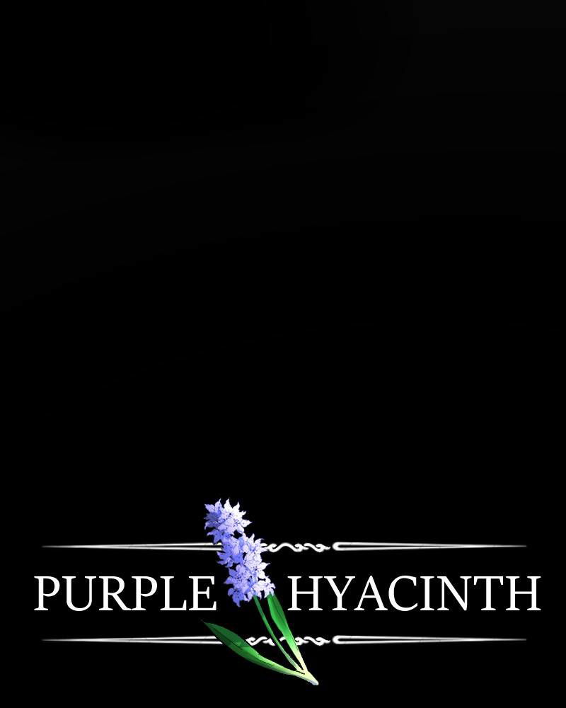 Purple Hyacinth Chapter 13 page 1