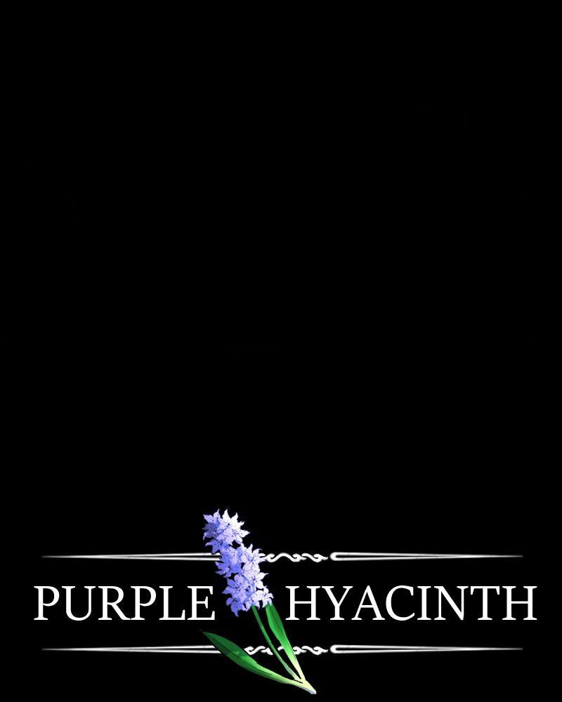 Purple Hyacinth Chapter 131 page 1