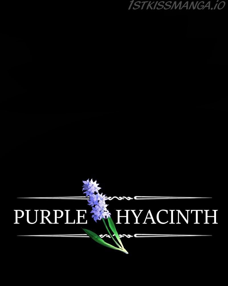 Purple Hyacinth Chapter 135 page 2