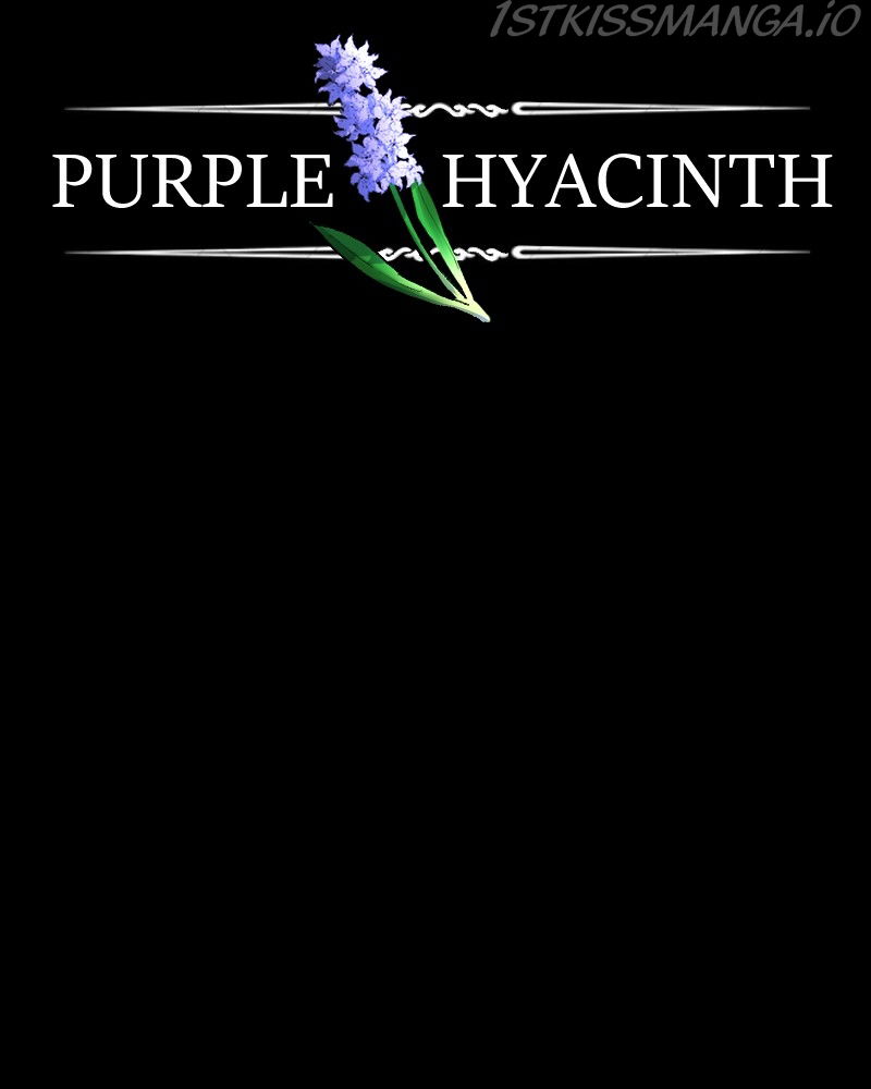 Purple Hyacinth Chapter 146 page 24