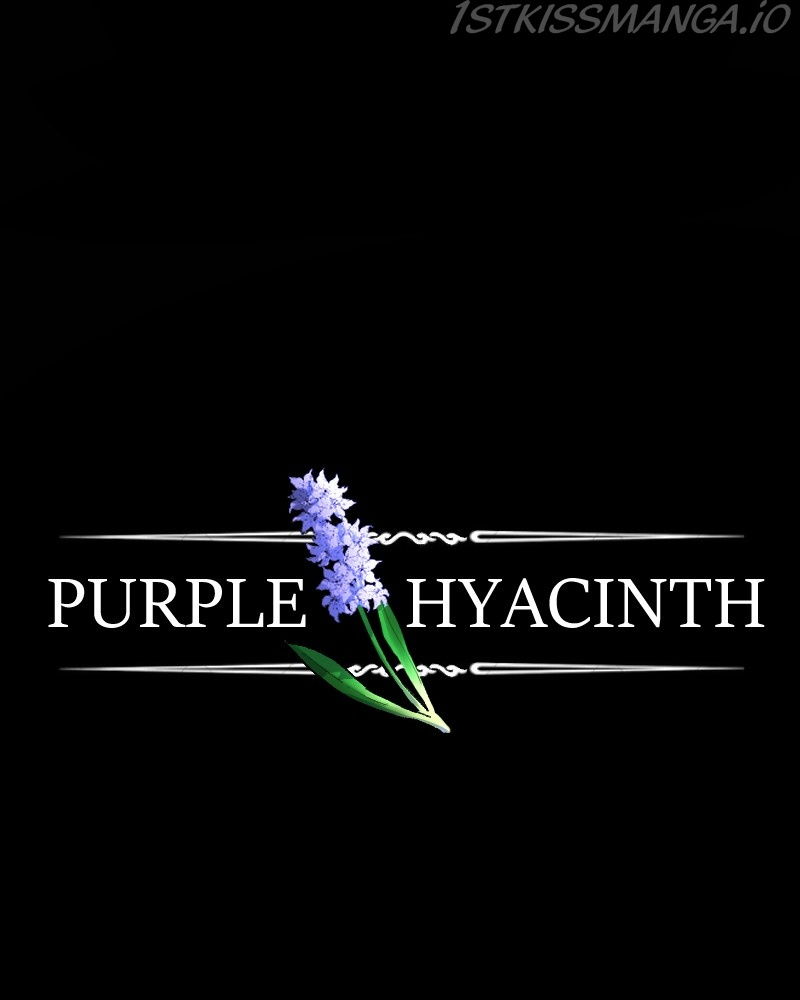 Purple Hyacinth Chapter 149 page 2