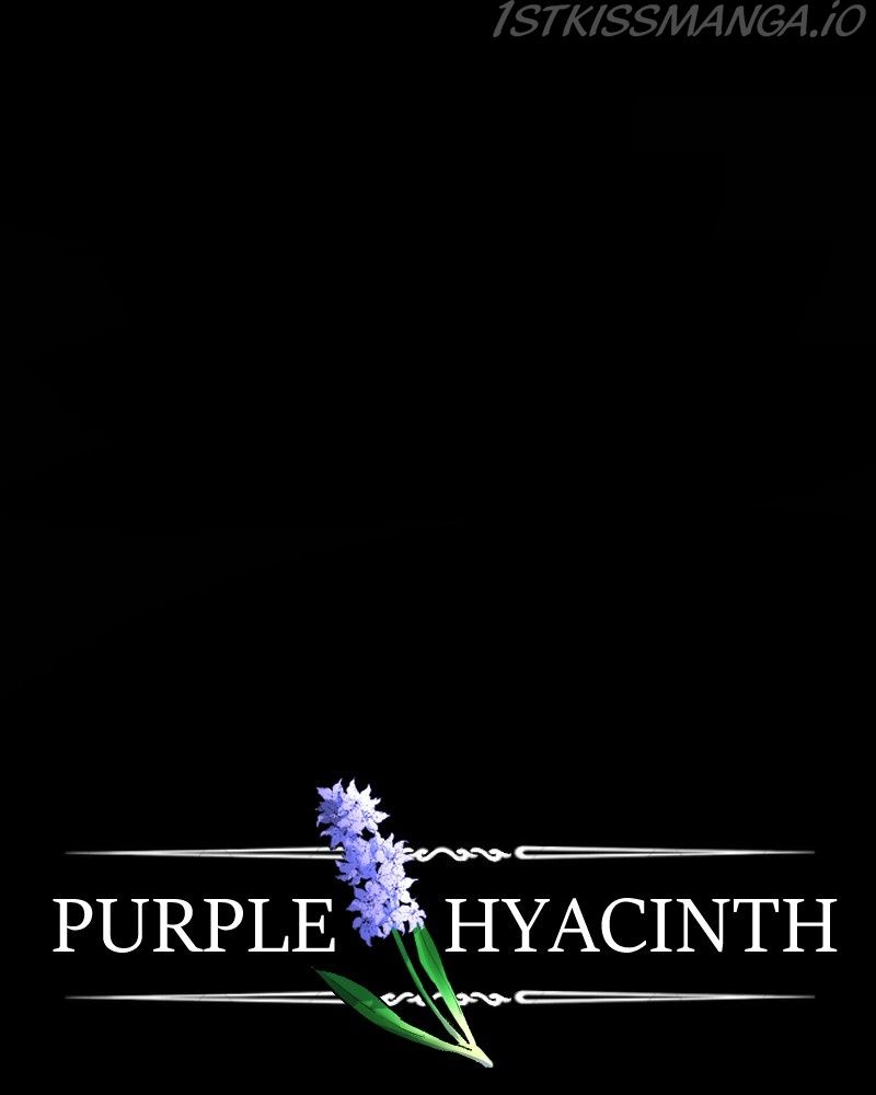 Purple Hyacinth Chapter 152 page 26