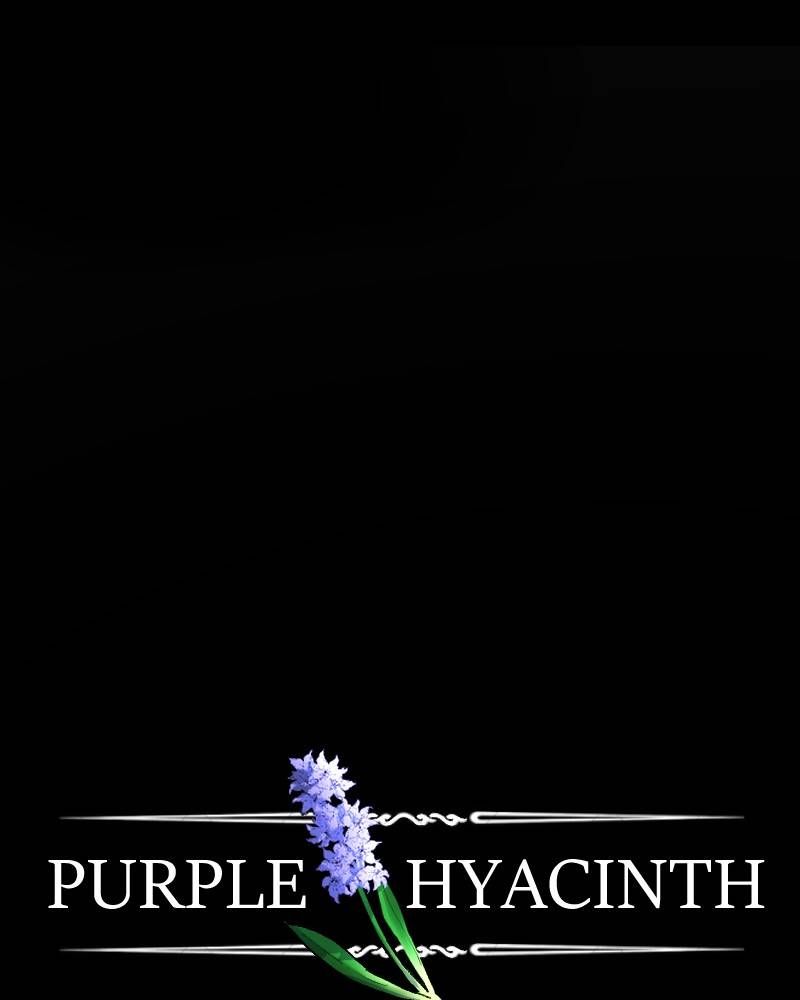 Purple Hyacinth Chapter 20 page 1