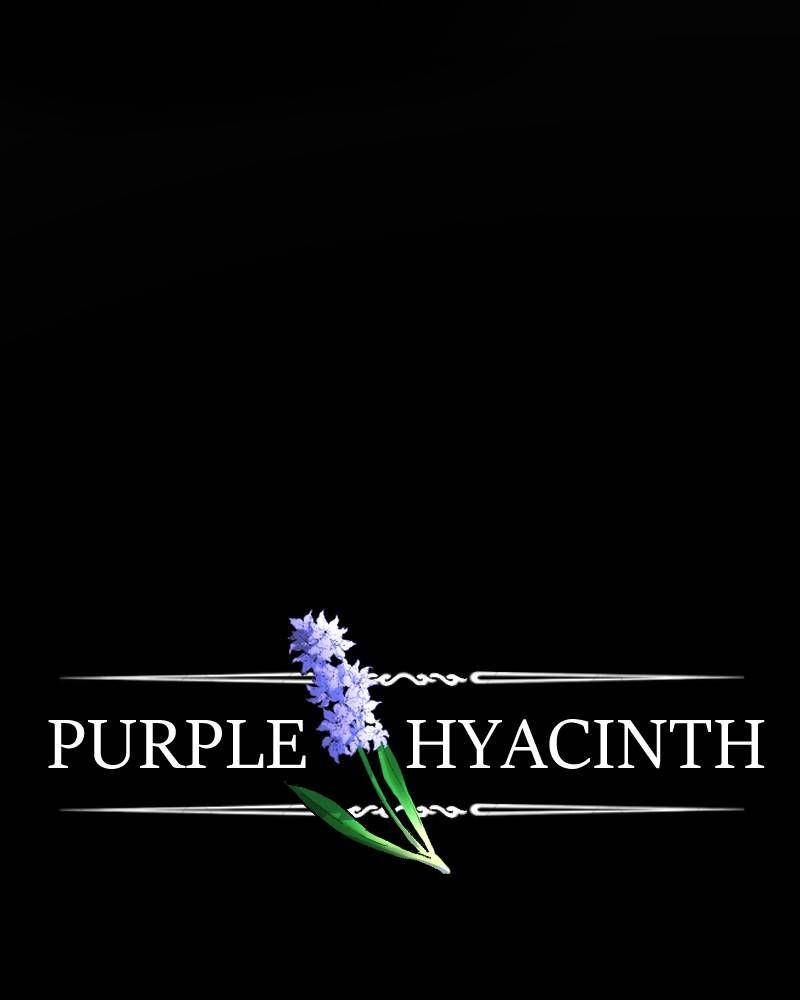 Purple Hyacinth Chapter 29 page 16